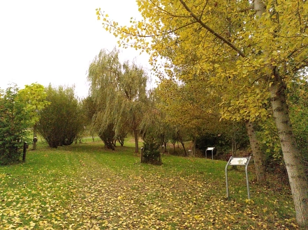 Baumpark im Herbst&nbsp;&copy;&nbsp;D. Rudolph