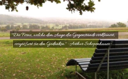 "Der Blick in die Ferne"&nbsp;&copy;&nbsp;D. Rudolph