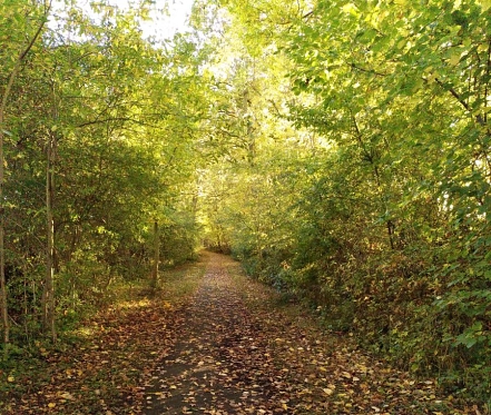 Der Weg hinunter ins Dorf&nbsp;&copy;&nbsp;D. Rudolph