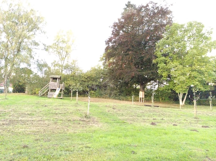 Streuobstwiese&nbsp;&copy;&nbsp;D. Rudolph