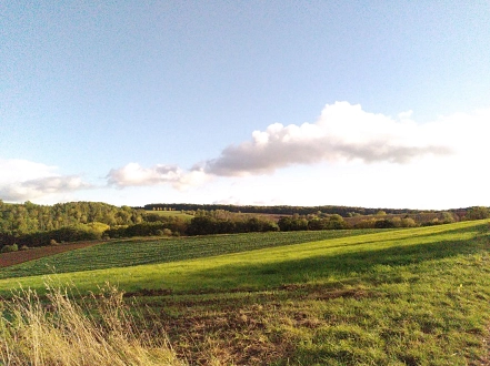 Wiese über der Kluß&nbsp;&copy;&nbsp;D. Rudolph